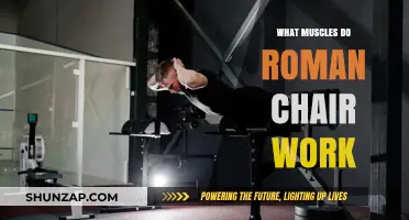 Roman Chair Workout: Targeting Lower Back, Glutes, and Core Muscles