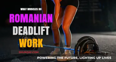 Romanian Deadlift Muscles: Targeted Strength Training for Glutes and Hamstrings