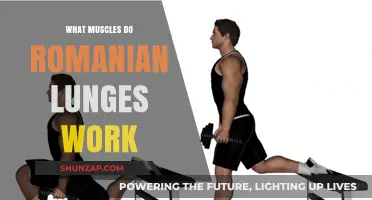 Romanian Lunges: Targeting Hamstrings, Glutes, and Core Muscles Effectively
