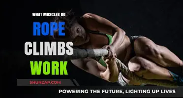Rope Climbs: Unlocking Full-Body Strength and Muscular Engagement