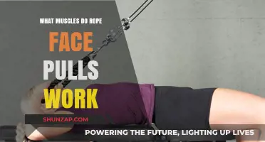 Rope Face Pulls: Targeted Muscles and Benefits Explained