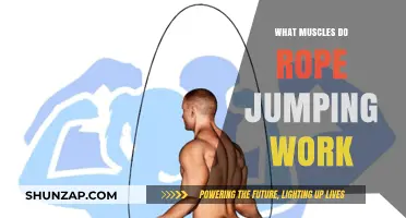 Jump Rope Workout: Target Muscles and Full-Body Benefits Explained