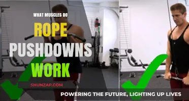 Rope Pushdowns: Targeted Muscles and Benefits for Stronger Arms