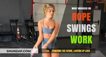 Rope Swings Workout: Targeted Muscles and Fitness Benefits Explained