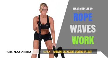 Rope Waves Workout: Targeted Muscles and Fitness Benefits Explained
