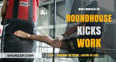 Roundhouse Kick Muscles: Unlocking Core, Leg, and Hip Strength