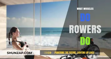 Rowing Workouts: Targeted Muscle Groups and Benefits