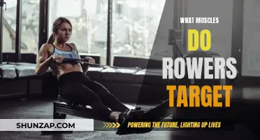 Rowing Workout: Targeting Muscle Groups for Full-Body Fitness