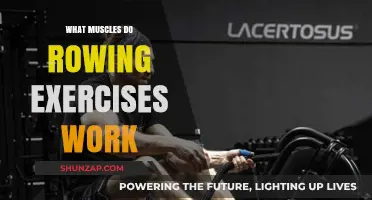 Rowing Exercises: Targeted Muscles for Strength and Endurance