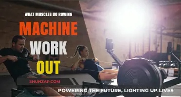 Rowing Machine Muscles: A Full-Body Workout Breakdown