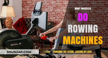 Rowing Machines: Full-Body Workout, Targeted Muscles