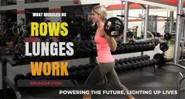 Muscles Targeted by Rows and Lunges: A Comprehensive Workout Guide