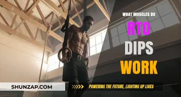 RTO Dips: Targeted Muscles and Benefits for Upper Body Strength