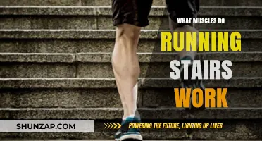 Running Stairs Workout: Targeted Muscles and Fitness Benefits Explained