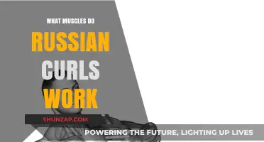 Russian Curls: Targeted Muscles and Benefits for Stronger Arms