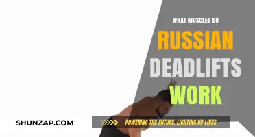 Russian Deadlifts: Targeted Muscles and Strength Benefits Explained