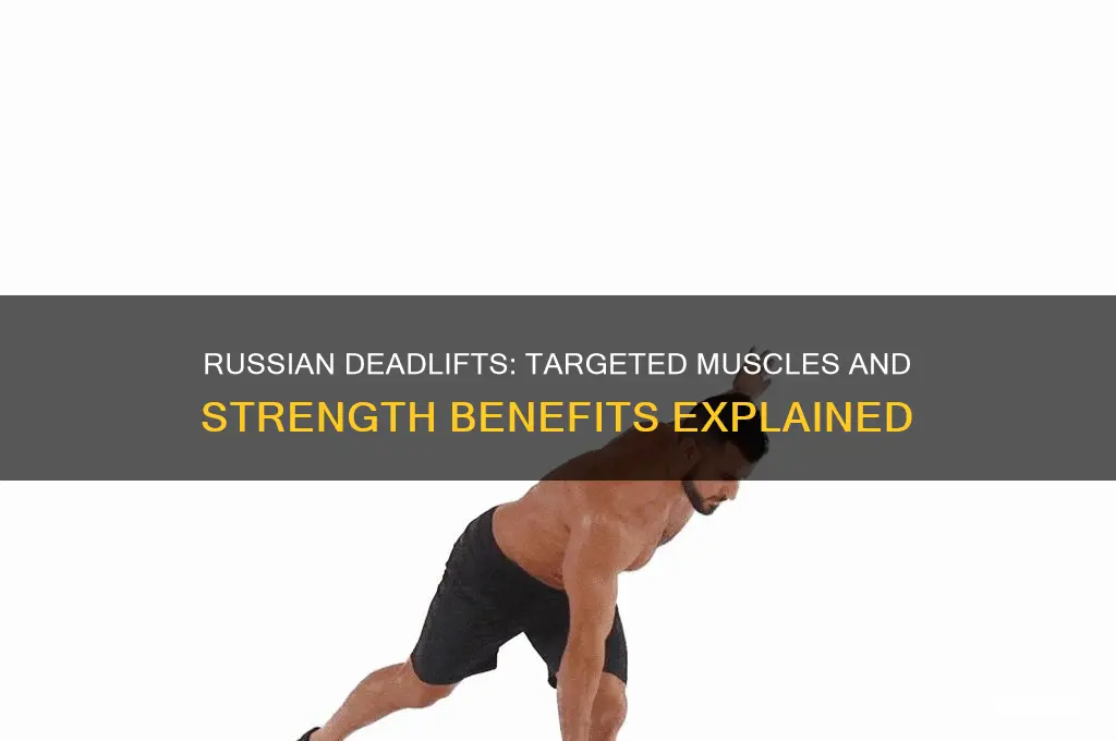 what muscles do russian deadlifts work