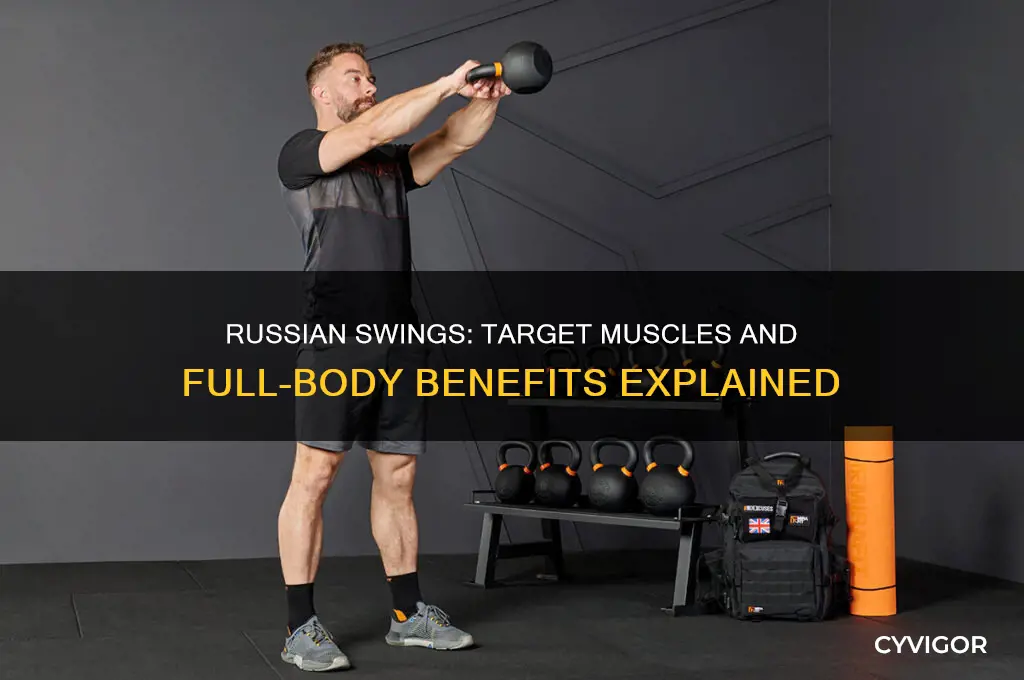 what muscles do russian swings work
