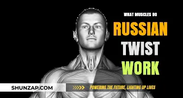 Russian Twists: Targeted Muscles and Core Strengthening Benefits Explained