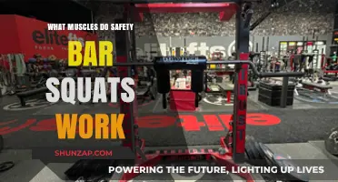 Safety Bar Squats: Targeted Muscles and Strength Benefits Explained