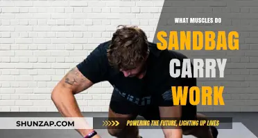 Sandbag Carry Muscles: Core, Grip, and Full-Body Strength Training