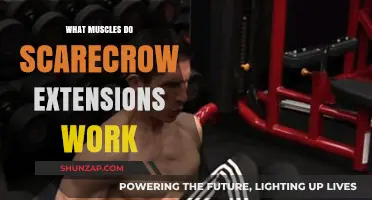 Scarecrow Extensions: Targeted Muscles and Benefits for Strength Training