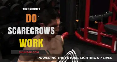 Scarecrow Workout: Unveiling the Muscles Engaged in Scarecrow Exercises