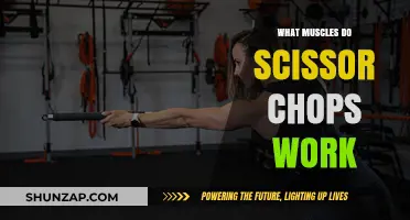 Scissor Chops: Targeted Muscles and Benefits for Core Strength