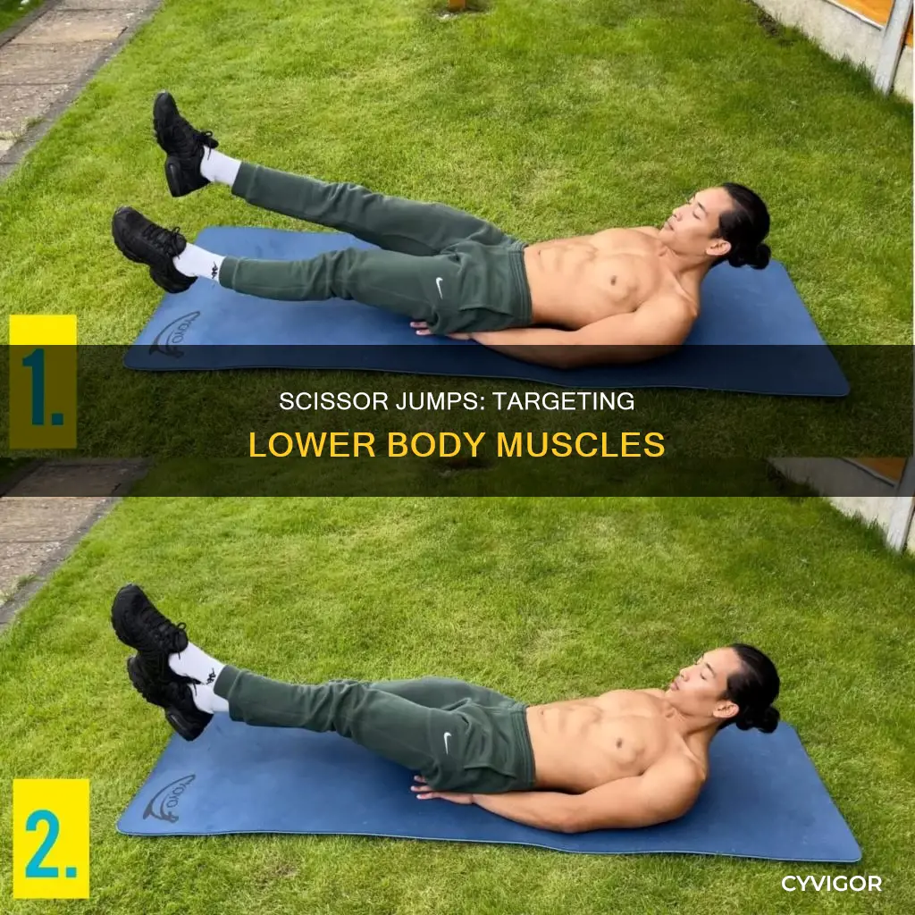 what muscles do scissors target