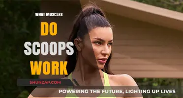 Unleash Your Upper Body Strength: Muscles Targeted by Scoop Exercises
