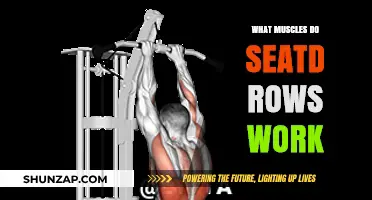 Seated Rows: Target Muscles and Benefits for a Stronger Back