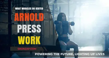 Seated Arnold Press: Target Muscles and Benefits Explained