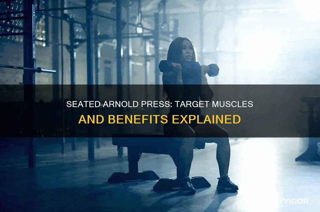 what muscles do seated arnold press work