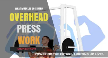 Seated Overhead Press: Target Muscles and Benefits Explained