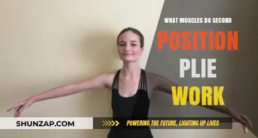 Muscles Engaged in Second Position Plie: A Comprehensive Breakdown