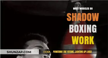 Shadow Boxing Benefits: Muscles Worked and Fitness Gains Explained