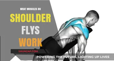 Shoulder Flys: Targeted Muscles and Benefits for Stronger Upper Body