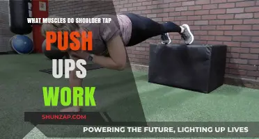 Shoulder Tap Push Ups: Muscles Worked and Benefits Explained