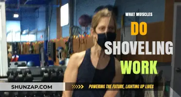 Shoveling Workout: Muscles Engaged and Strengthened During Snow Removal