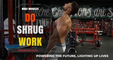 Shrug Exercises: Targeted Muscles and Benefits for Shoulder Strength