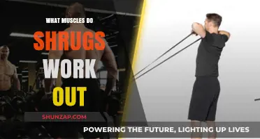 Shrugs Workout: Targeting Muscles for Stronger Shoulders and Upper Back
