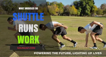 Shuttle Runs: Targeted Muscles for Speed, Agility, and Endurance