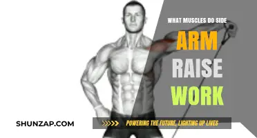 Side Arm Raises: Targeted Muscles and Benefits Explained