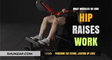 Side Hip Raises: Targeted Muscles and Benefits Explained
