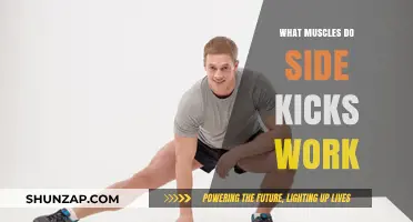 Side Kicks: Targeted Muscles and Benefits for Strength and Flexibility