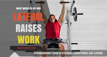 Side Lateral Raises: Targeted Muscles and Benefits Explained