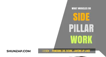 Side Plank Muscles: Core, Shoulders, and Stability Explained