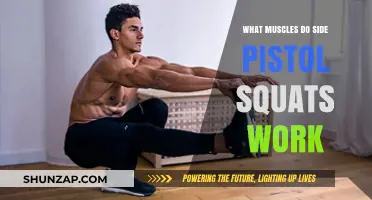 Side Pistol Squats: Target Muscles and Benefits Explained