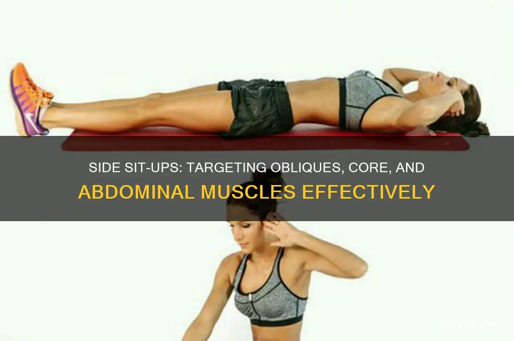 what muscles do side sit ups work