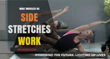 Side Stretches: Targeting Obliques, Lats, and Core Muscles Effectively